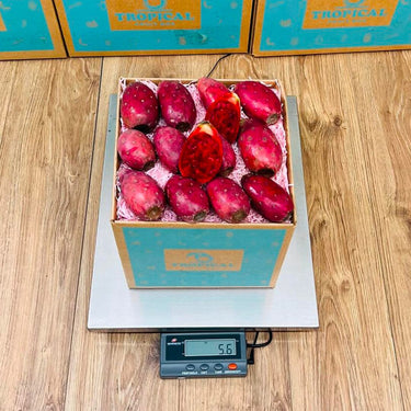Red Cactus Pear | Prickly Pear Box Produce Box Tropical Fruit Box